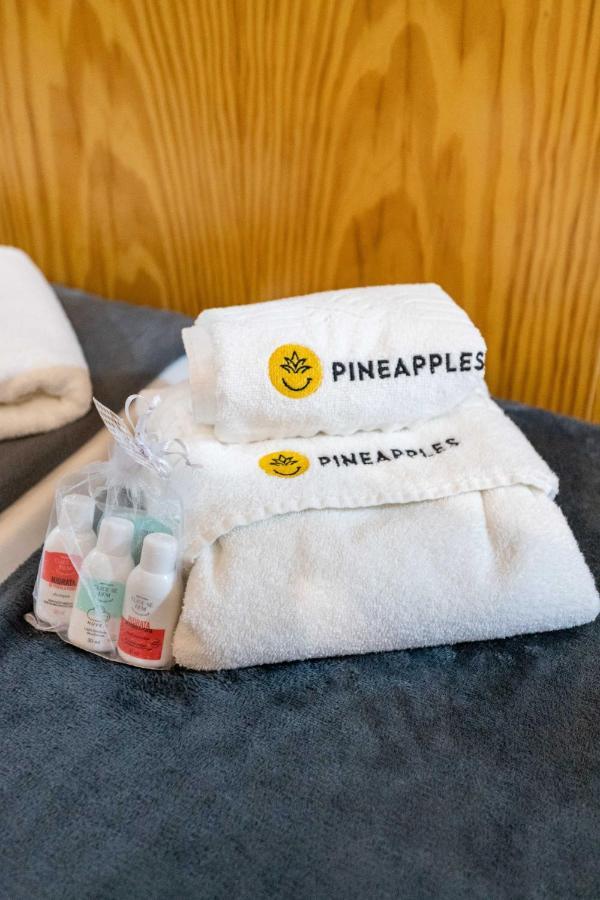 Pineapples Nsc514 - Lindo Pet Friendly Em Copacabana Apartamento